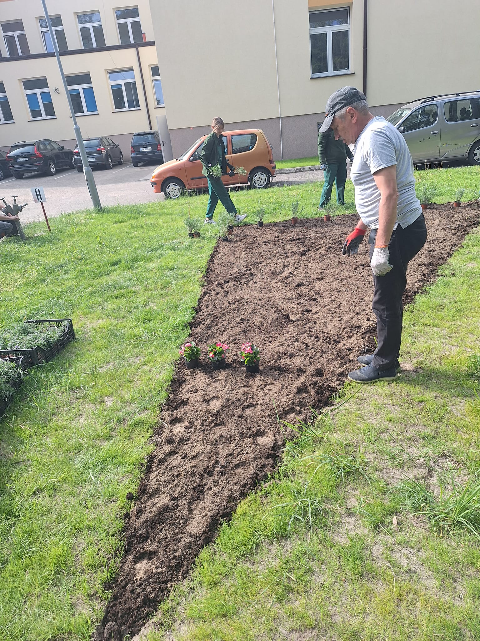 Rewitalizacja terenu, Szpital Wolica