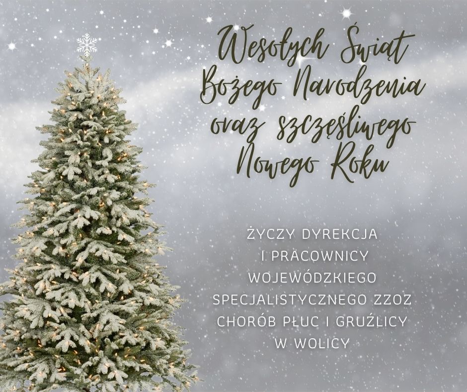 Wesołych Świąt Bożego Narodzenia i szczęśliwego Nowego Roku